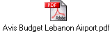 Avis Budget Lebanon Airport.pdf
